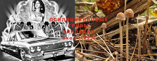 дживик Ладушкин