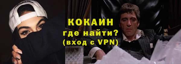 дживик Ладушкин